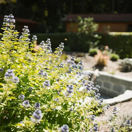 App.-haus Zur Europa-therme * Bad Füssing