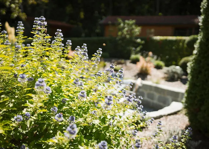 App.-haus Zur Europa-therme * Bad Füssing